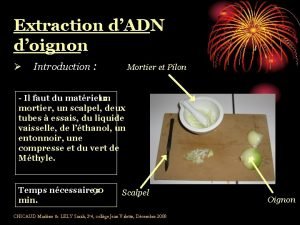 Extraction dADN doignon Introduction Mortier et Pilon Il