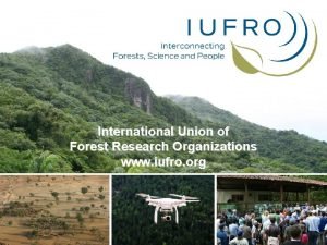 International union of forest research organizations