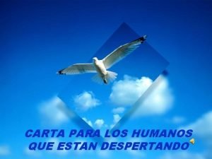 CARTA PARA LOS HUMANOS QUE ESTAN DESPERTANDO TOBAS