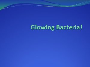 Glowing Bacteria Purpose To Transform E coli bacteria