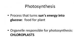 Photosynthesis Process that turns suns energy into glucose