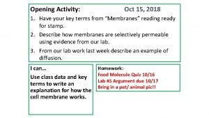 Opening Activity Oct 15 2018 1 Have your