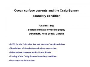 Ocean surface currents and the CraigBanner boundary condition