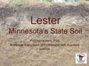 Lester soil