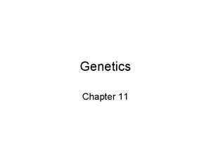 Genetics Chapter 11 Heredity Passing of traits from