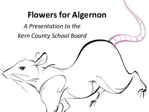 Plot for flowers for algernon