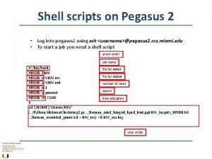 Shell scripts on Pegasus 2 Log into pegasus