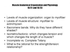 Muscle Anatomical Organization and Physiology 1021 and 1023