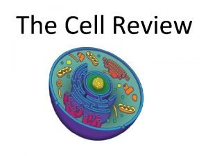 The Cell Review Empty slide to keep flashcards