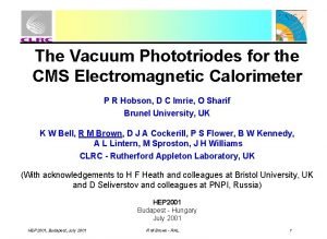 The Vacuum Phototriodes for the CMS Electromagnetic Calorimeter