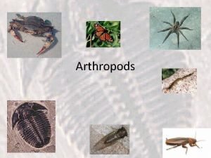 Pearson prentice hall Pearson prentice hall