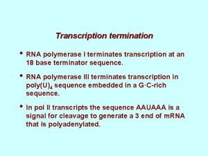 Rna polymerase Rna polymerase