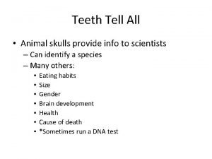 Teeth Tell All Animal skulls provide info to