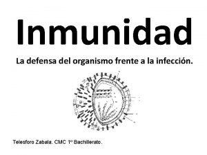 Inmunidad activa y pasiva diferencias