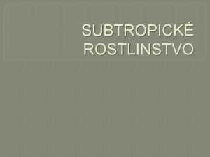 Subtropické rostlinstvo