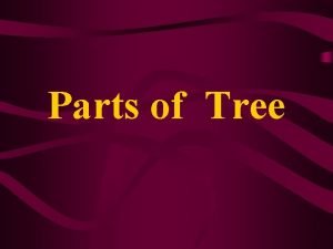 The three main parts of a tree