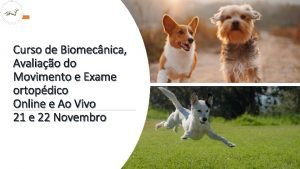 Curso de Biomecnica Avaliao do Movimento e Exame