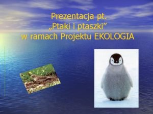 Prezentacja pt Ptaki i ptaszki w ramach Projektu