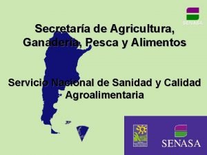 SENASA Secretara de Agricultura Ganadera Pesca y Alimentos