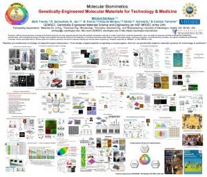 Molecular Biomimetics GeneticallyEngineered Molecular Materials for Technology Medicine