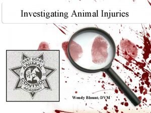 Investigating Animal Injuries Wendy Blount DVM Exam Handouts