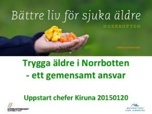 Trygga ldre i Norrbotten ett gemensamt ansvar Uppstart