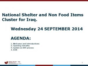 National Shelter and Non Food Items Cluster for