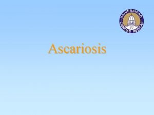 Ascariosis Ascariosis Infeccin del intestino delgado del ser
