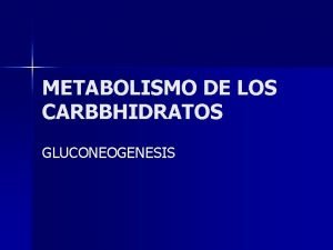 Gluconeogenesis sustrato y producto