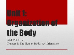 Unit 1 Organization of the Body DLT s