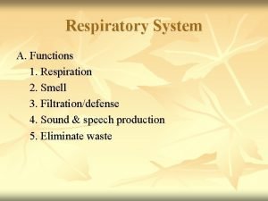 Respiratory System A Functions 1 Respiration 2 Smell