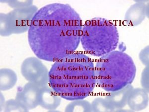 LEUCEMIA MIELOBLASTICA AGUDA Integrantes Flor Jamileth Ramrez Ada