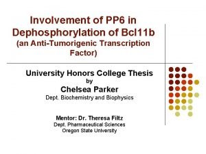 Involvement of PP 6 in Dephosphorylation of Bcl