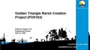 Golden Triangle Marsh Creation Project PO 0163 Shannon