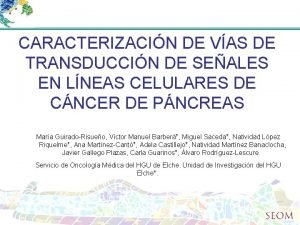 CARACTERIZACIN DE VAS DE TRANSDUCCIN DE SEALES EN