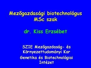 Mezgazdasgi biotechnolgus MSc szak dr Kiss Erzsbet SZIE