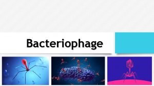 Bacteriophage Outline v Definition of Bacteriophage v Structure