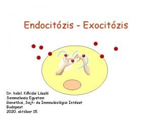 Endocitzis Exocitzis Dr habil Khidai Lszl Semmelweis Egyetem