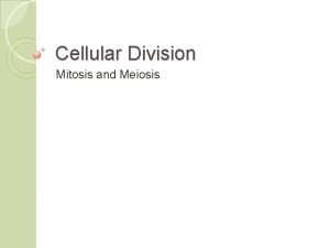 Cellular Division Mitosis and Meiosis Cell Division basis