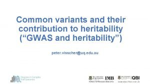Common variants and their contribution to heritability GWAS