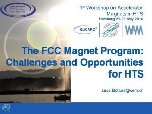1 st Workshop on Accelerator Magnets in HTS
