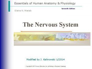 Essentials of Human Anatomy Physiology Elaine N Marieb