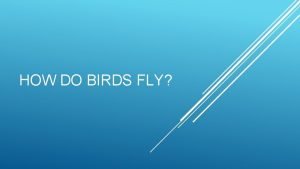 HOW DO BIRDS FLY AEROPLANES We know that