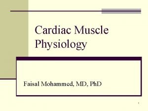 Faisal mohammed
