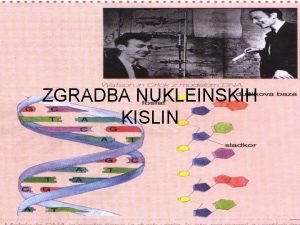 ZGRADBA NUKLEINSKIH KISLIN Zgradba nukleinskih kislin Nukleinske kisline