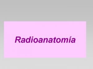 Radioanatoma CONTENIDOS Radioanatoma del diente alveolo Estructuras anatmicas