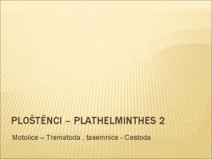 PLOTNCI PLATHELMINTHES 2 Motolice Trematoda tasemnice Cestoda NZEV