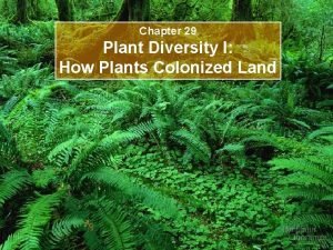 Chapter 29 Plant Diversity I How Plants Colonized