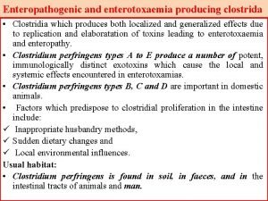 Enteropathogenic and enterotoxaemia producing clostrida Clostridia which produces