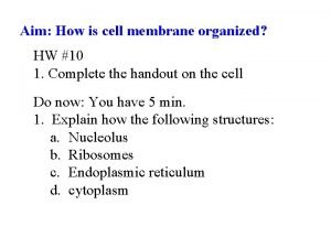 Cell membrane hydrophilic and hydrophobic